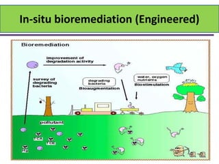 Biodegradation and bioremediation | PDF