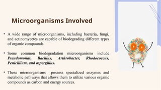 Microorganisms Involved
• A wide range of microorganisms, including bacteria, fungi,
and actinomycetes are capable of biodegrading different types
of organic compounds.
• Some common biodegradation microorganisms include
Pseudomonas, Bacillus, Arthrobacter, Rhodococcus,
Penicillium, and aspergillus.
• These microorganisms possess specialized enzymes and
metabolic pathways that allows them to utilize various organic
compounds as carbon and energy sources.
 
