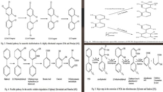 Biodegradation of Environmental Pollutants | PPTX