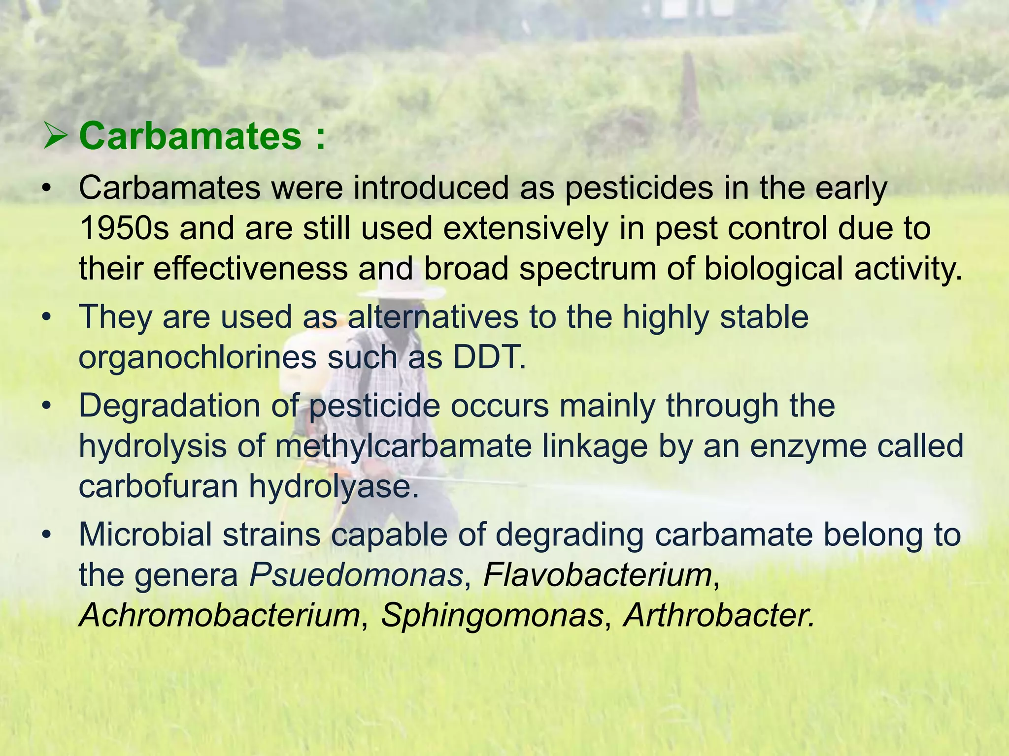  Carbamates :
• Carbamates were introduced as pesticides in the early
1950s and are still used extensively in pest control due to
their effectiveness and broad spectrum of biological activity.
• They are used as alternatives to the highly stable
organochlorines such as DDT.
• Degradation of pesticide occurs mainly through the
hydrolysis of methylcarbamate linkage by an enzyme called
carbofuran hydrolyase.
• Microbial strains capable of degrading carbamate belong to
the genera Psuedomonas, Flavobacterium,
Achromobacterium, Sphingomonas, Arthrobacter.
 