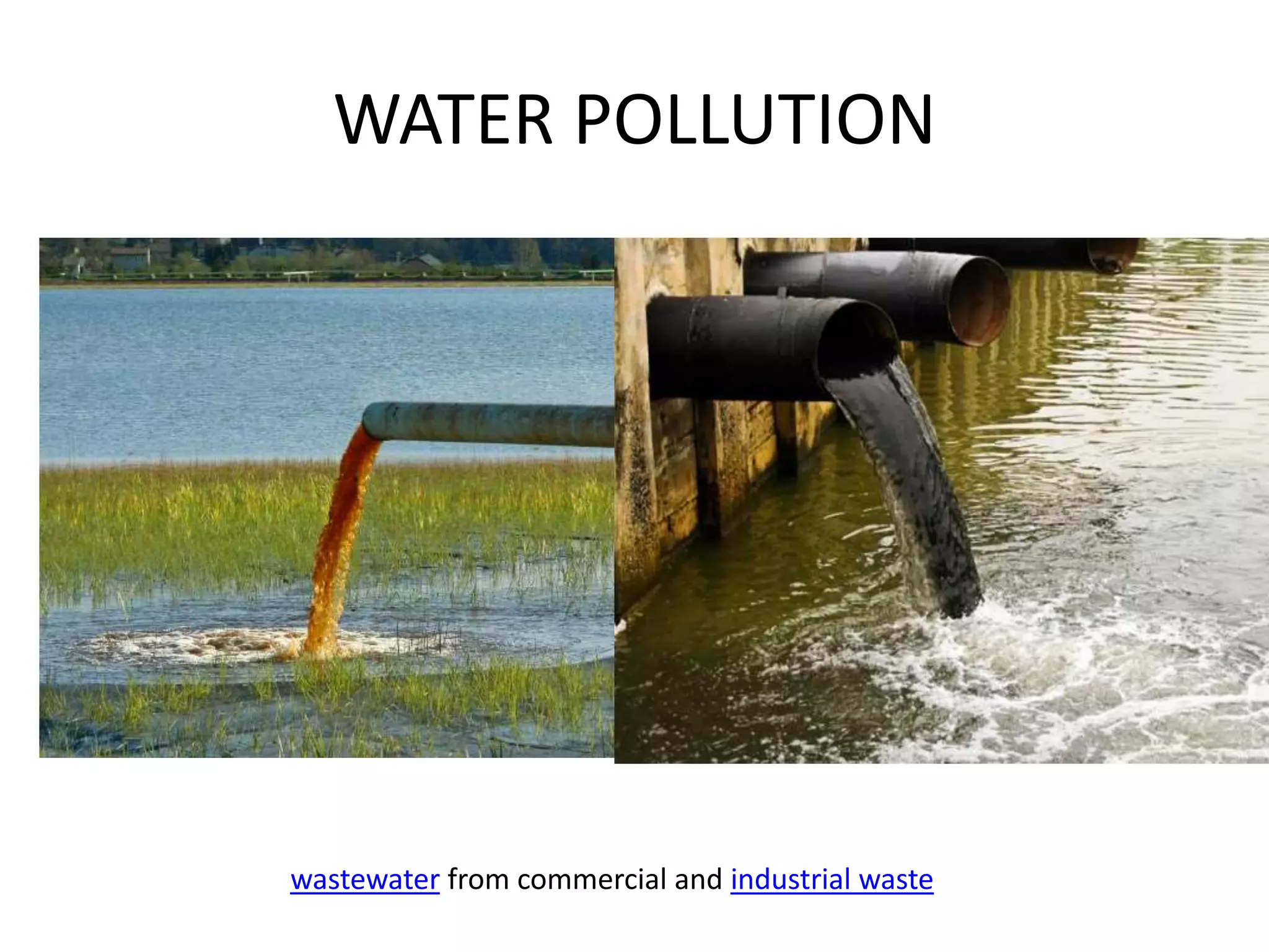 Biodegradation of pollutant 1 | PPTX