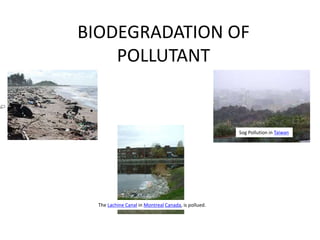 BIODEGRADATION OF
POLLUTANT
Sog Pollution in Taiwan
The Lachine Canal in Montreal Canada, is pollued.
 