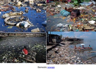 Domestic sewage
 
