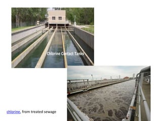chlorine, from treated sewage
 