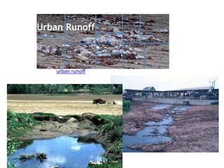 urban runoff
 