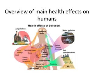 Overview of main health effects on
humans
 