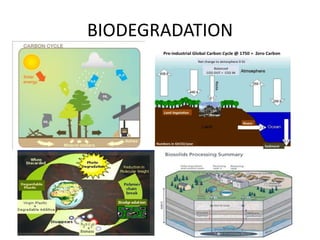 BIODEGRADATION
 
