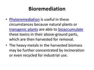 Bioremediation
• Phytoremediation is useful in these
circumstances because natural plants or
transgenic plants are able to bioaccumulate
these toxins in their above-ground parts,
which are then harvested for removal.
• The heavy metals in the harvested biomass
may be further concentrated by incineration
or even recycled for industrial use.
 