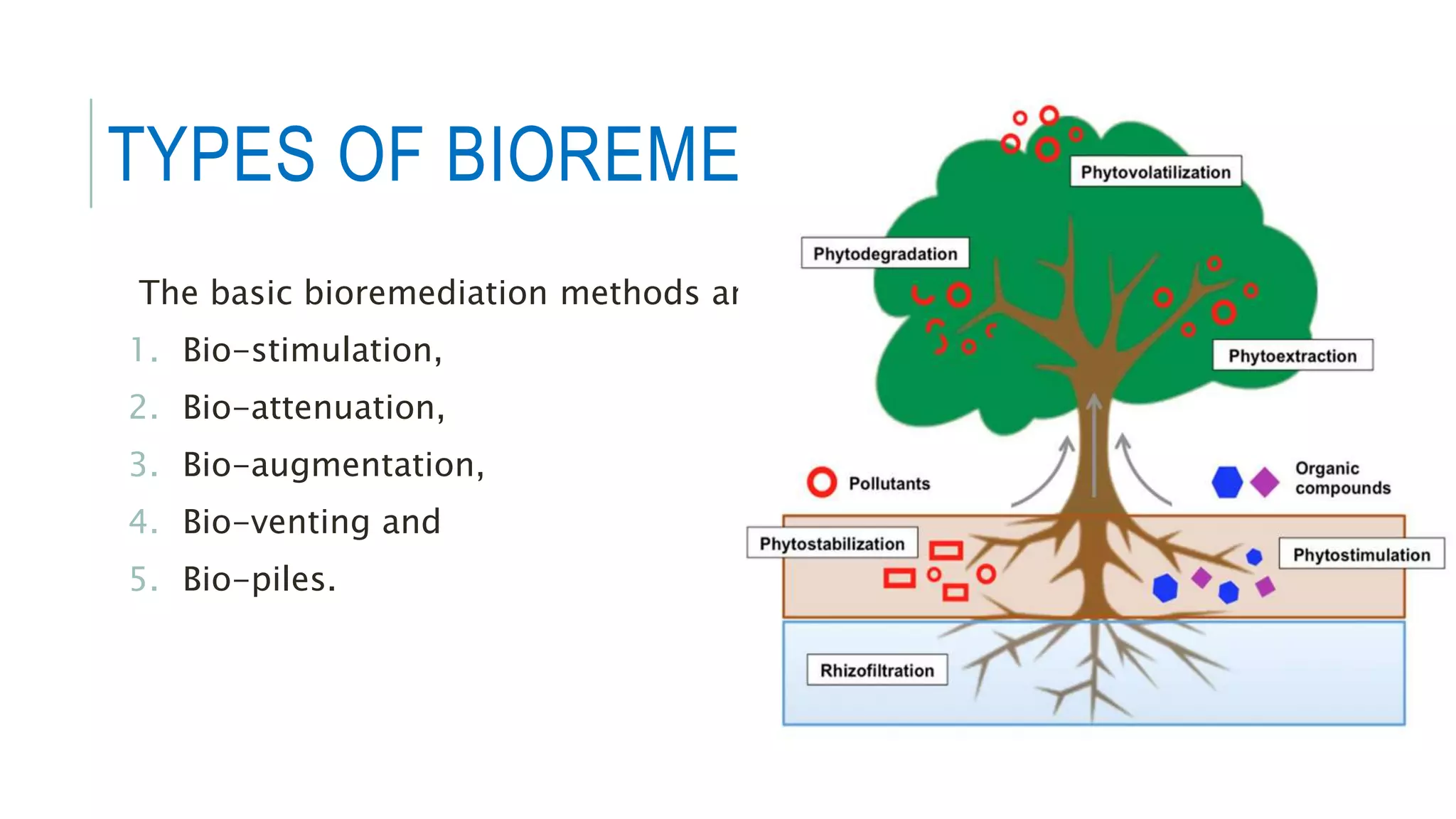 Biodegradation of pollutants | PPTX