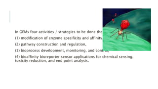 In GEMs four activities / strategies to be done these are:
(1) modification of enzyme specificity and affinity,
(2) pathway construction and regulation,
(3) bioprocess development, monitoring, and control,
(4) bioaffinity bioreporter sensor applications for chemical sensing,
toxicity reduction, and end point analysis.
 
