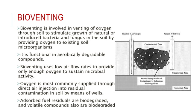 Biodegradation of pollutants | PPTX | Indoor Environmental Quality ...