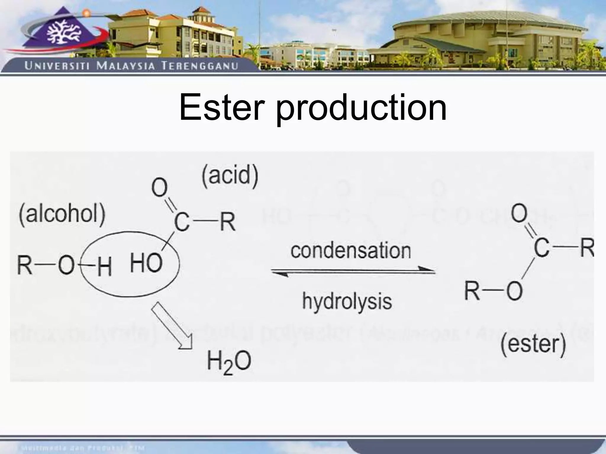 Ester production
 