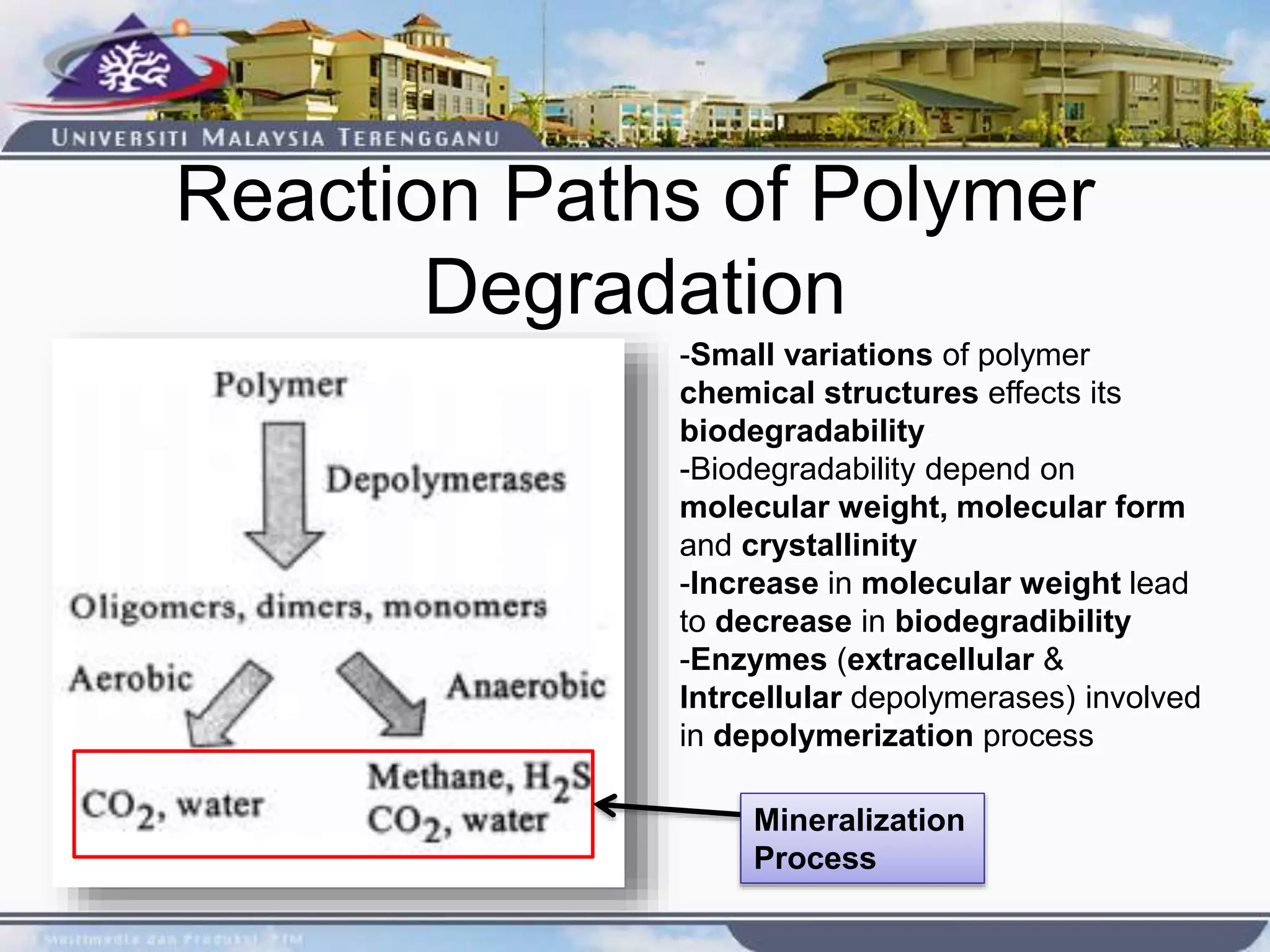 Reaction Paths of Polymer
Degradation
Mineralization
Process
-Small variations of polymer
chemical structures effects its
biodegradability
-Biodegradability depend on
molecular weight, molecular form
and crystallinity
-Increase in molecular weight lead
to decrease in biodegradibility
-Enzymes (extracellular &
Intrcellular depolymerases) involved
in depolymerization process
 