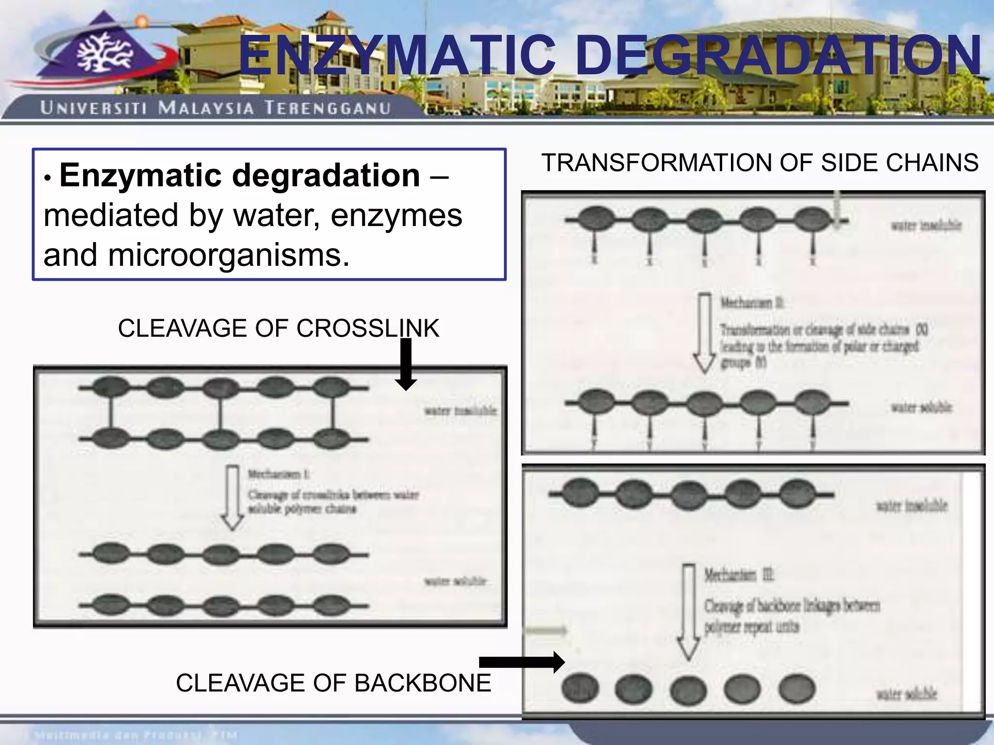 CLEAVAGE OF CROSSLINK
TRANSFORMATION OF SIDE CHAINS
CLEAVAGE OF BACKBONE
ENZYMATIC DEGRADATION
• Enzymatic degradation –
mediated by water, enzymes
and microorganisms.
 