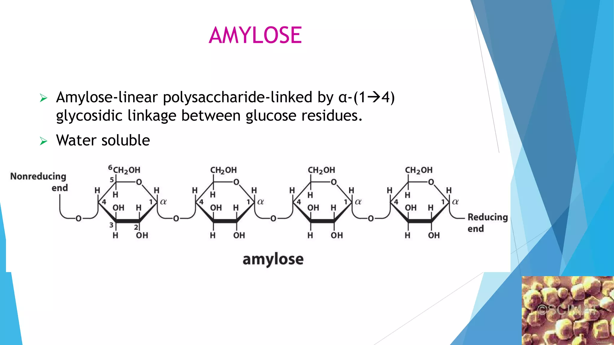 AMYLOSE
 Amylose-linear polysaccharide-linked by α-(14)
glycosidic linkage between glucose residues.
 Water soluble
 