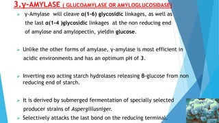 3.γ-AMYLASE ( GLUCOAMYLASE OR AMYLOGLUCOSIDASE)
 γ-Amylase will cleave α(1-6) glycosidic linkages, as well as
the last α(1-4 )glycosidic linkages at the non reducing end
of amylose and amylopectin, yieldin glucose.
 Unlike the other forms of amylase, γ-amylase is most efficient in
acidic environments and has an optimum pH of 3.
 Inverting exo acting starch hydrolases releasing β-glucose from non
reducing end of starch.
 It is derived by submerged fermentation of specially selected
producer strains of Aspergillusniger.
 Selectively attacks the last bond on the reducing terminal.
 
