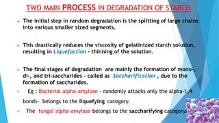 TWO MAIN PROCESS IN DEGRADATION OF STARCH
 The initial step in random degradation is the splitting of large chains
into various smaller sized segments.
 This drastically reduces the viscosity of gelatinized starch solution,
resulting in Liquefaction - thinning of the solution.
 The final stages of degradation are mainly the formation of mono-,
di-, and tri-saccharides – called as Saccharification , due to the
formation of saccharides.
 Eg : Bacterial alpha-amylase - randomly attacks only the alpha-1,4
bonds- belongs to the liquefying category.
 The fungal alpha-amylase belongs to the saccharifying category.
 