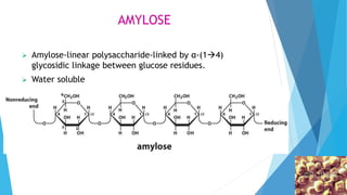 AMYLOSE
 Amylose-linear polysaccharide-linked by α-(14)
glycosidic linkage between glucose residues.
 Water soluble
 