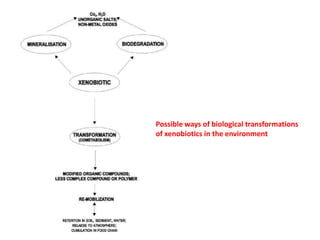 Microbial Biotransformation of xenobiotic compounds | PPTX