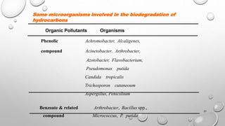 21
Some microorganisms involved in the biodegradation of
hydrocarbons
Organic Pollutants Organisms
Phenolic Achromobacter, Alcaligenes,
compound Acinetobacter, Arthrobacter,
Azotobacter, Flavobacterium,
Pseudomonas putida
Candida tropicalis
Trichosporon cutaneoum
Aspergillus, Penicillium
Benzoate & related Arthrobacter, Bacillus spp.,
compound Micrococcus, P. putida
 