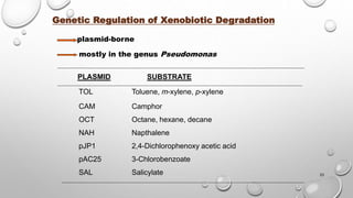 23
Genetic Regulation of Xenobiotic Degradation
plasmid-borne
mostly in the genus Pseudomonas
PLASMID SUBSTRATE
TOL Toluene, m-xylene, p-xylene
CAM Camphor
OCT Octane, hexane, decane
NAH Napthalene
pJP1 2,4-Dichlorophenoxy acetic acid
pAC25 3-Chlorobenzoate
SAL Salicylate
 