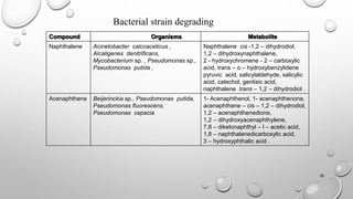 26
Compound Organisms Metabolite
Naphthalene Acinetobacter calcoaceticus ,
Alcaligenes denitrificans,
Mycobacterium sp. , Pseudomonas sp.,
Pseudomonas putida ,
Naphthalene cis -1,2 – dihydrodiol,
1,2 – dihydroxynaphthalene,
2 - hydroxychromene - 2 – carboxylic
acid, trans – o – hydroxybenzylidene
pyruvic acid, salicylaldehyde, salicylic
acid, catechol, gentisic acid,
naphthalene trans – 1,2 – dihydrodiol .
Acenaphthene Beijerinckia sp., Pseudomonas putida,
Pseudomonas fluorescens,
Pseudomonas cepacia
1- Acenaphthenol, 1- acenaphthenone,
acenaphthene – cis – 1,2 – dihydrodiol,
1,2 – acenaphthenedione,
1,2 – dihydroxyacenaphthylene,
7,8 – diketonaphthyl – l – acetic acid,
1,8 – naphthalenedicarboxylic acid,
3 – hydroxyphthalic acid .
Bacterial strain degrading
 