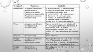 27
Compound Organisms Metabolite
Fluoranthene Alcaligenes denitrificans ,
Mycobacterium sp. ,
Pseudomonas putida ,
Pseudomonas paucimobilis,
Pseudomonas cepacia ,
Rhodococcus sp.
7- Acenaphthenone, 1- acenaphthenone,
7- hydroxyacenaphthylene, benzoic acid,
phenylacetic acid, adipic acid,
3- hydroxymethyl – 4,5- benzocoumarin,
9- fluorenone – 1 – carboxylic acid,
8- hydroxy – 7- methoxyfluoranthene,
9- hydroxyfluorene , 9- fluorenone,
phthalic acid, 2- carboxybenzaldehyde
Pyrene Alcaligenes denitrificans ,
Mycobacterium sp. ,
Rhodococcus sp.
Pyrene cis - and trans - 4,5 – dihydrodiol,
4 – hydroxyperinaphthenone, phthalic acid, 4-
phenanthroic acid, 1,2 - and 4,5 –
dihydroxypyrene, cinnamic acid, cis – 2 –
hydroxy – 3 – ( perinaphthenone -9-yl ) propenic
acid
Chrysene Rhodococcus sp. None determined
Benz [a]
anthracene
Alcaligenes denitrificans ,
Beijerinckia sp. ,
Pseudomonas putida
Benz [a] anthracene cis – 1,2, cis- 8,9-, and cis
– 10,11- dihydrodiols, 1- hydroxy – 2 –
anthranoic acid, 2- hydroxy – 3 – phenanthroic
acid, 3- hydroxy – 2 – phenanthroic acid .
Benz [a]
pyrene
Beijerinckia sp.,
Mycobacterium sp.
Benz [a] pyrene cis -7,8 - and cis -9,10 –
dihydrodiols .
 