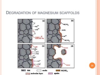 DEGRADATION OF MAGNESIUM SCAFFOLDS
23
 
