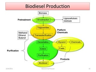 Biodeisel Production from Jatropha By Muhammad Hassan GCUF | PPT