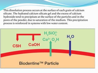 This dissolution process occurs at the surface of each grain of calcium
silicate. The hydrated calcium silicate gel and the excess of calcium
hydroxide tend to precipitate at the surface of the particles and in the
pores of the powder, due to saturation of the medium. This precipitation
process is reinforced in systems with low water content.
 