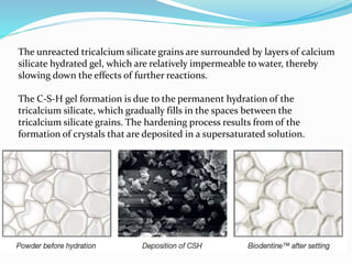 The unreacted tricalcium silicate grains are surrounded by layers of calcium
silicate hydrated gel, which are relatively impermeable to water, thereby
slowing down the effects of further reactions.
The C-S-H gel formation is due to the permanent hydration of the
tricalcium silicate, which gradually fills in the spaces between the
tricalcium silicate grains. The hardening process results from of the
formation of crystals that are deposited in a supersaturated solution.
 
