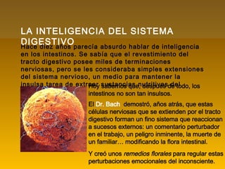 LA INTELIGENCIA DEL SISTEMA
DIGESTIVOHace diez años parecía absurdo hablar de inteligencia
en los intestinos. Se sabía que el revestimiento del
tracto digestivo posee miles de terminaciones
nerviosas, pero se les consideraba simples extensiones
del sistema nervioso, un medio para mantener la
insulsa tarea de extraer sustancias nutritivas del
alimento.
 