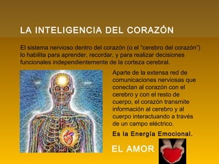 LA INTELIGENCIA DEL CORAZÓN
El sistema nervioso dentro del corazón (o el “cerebro del corazón”)
lo habilita para aprender, recordar, y para realizar decisiones
funcionales independientemente de la corteza cerebral.
Aparte de la extensa red de
comunicaciones nerviosas que
conectan al corazón con el
cerebro y con el resto de
cuerpo, el corazón transmite
información al cerebro y al
cuerpo interactuando a través
de un campo eléctrico.
Es la Energía Emocional.
EL AMOR
 