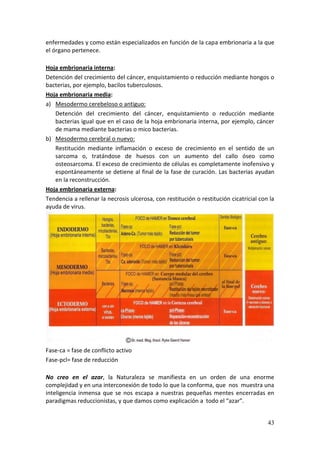 43
enfermedades y como están especializados en función de la capa embrionaria a la que
el órgano pertenece.
Hoja embrionaria interna:
Detención del crecimiento del cáncer, enquistamiento o reducción mediante hongos o
bacterias, por ejemplo, bacilos tuberculosos.
Hoja embrionaria media:
a) Mesodermo cerebeloso o antiguo:
Detención del crecimiento del cáncer, enquistamiento o reducción mediante
bacterias igual que en el caso de la hoja embrionaria interna, por ejemplo, cáncer
de mama mediante bacterias o mico bacterias.
b) Mesodermo cerebral o nuevo:
Restitución mediante inflamación o exceso de crecimiento en el sentido de un
sarcoma o, tratándose de huesos con un aumento del callo óseo como
osteosarcoma. El exceso de crecimiento de células es completamente inofensivo y
espontáneamente se detiene al final de la fase de curación. Las bacterias ayudan
en la reconstrucción.
Hoja embrionaria externa:
Tendencia a rellenar la necrosis ulcerosa, con restitución o restitución cicatricial con la
ayuda de virus.
Fase-ca = fase de conflicto activo
Fase-pcl= fase de reducción
No creo en el azar, la Naturaleza se manifiesta en un orden de una enorme
complejidad y en una interconexión de todo lo que la conforma, que nos muestra una
inteligencia inmensa que se nos escapa a nuestras pequeñas mentes encerradas en
paradigmas reduccionistas, y que damos como explicación a todo el “azar”.
 
