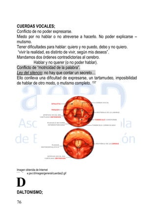 76
CUERDAS VOCALES;
Conflicto de no poder expresarse.
Miedo por no hablar o no atreverse a hacerlo. No poder explicarse –
mutismo.
Tener dificultades para hablar: quiero y no puedo, debo y no quiero.
“vivir la realidad, es distinto de vivir, según mis deseos”.
Mandamos dos órdenes contradictorias al cerebro.
Hablar y no querer (o no poder hablar).
Conflicto de “motricidad de la palabra”.
Ley del silencio: no hay que contar un secreto…
Ello conlleva una dificultad de expresarse, un tartamudeo, imposibilidad
de hablar de otro modo, o mutismo completo. 157
Imagen obtenida de Internet
http://www.javi.it/images/general/cuerdas2.gif
DALTONISMO;
D
 