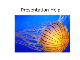 Presentation Help 