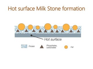Hot surface Milk Stone formation
 
