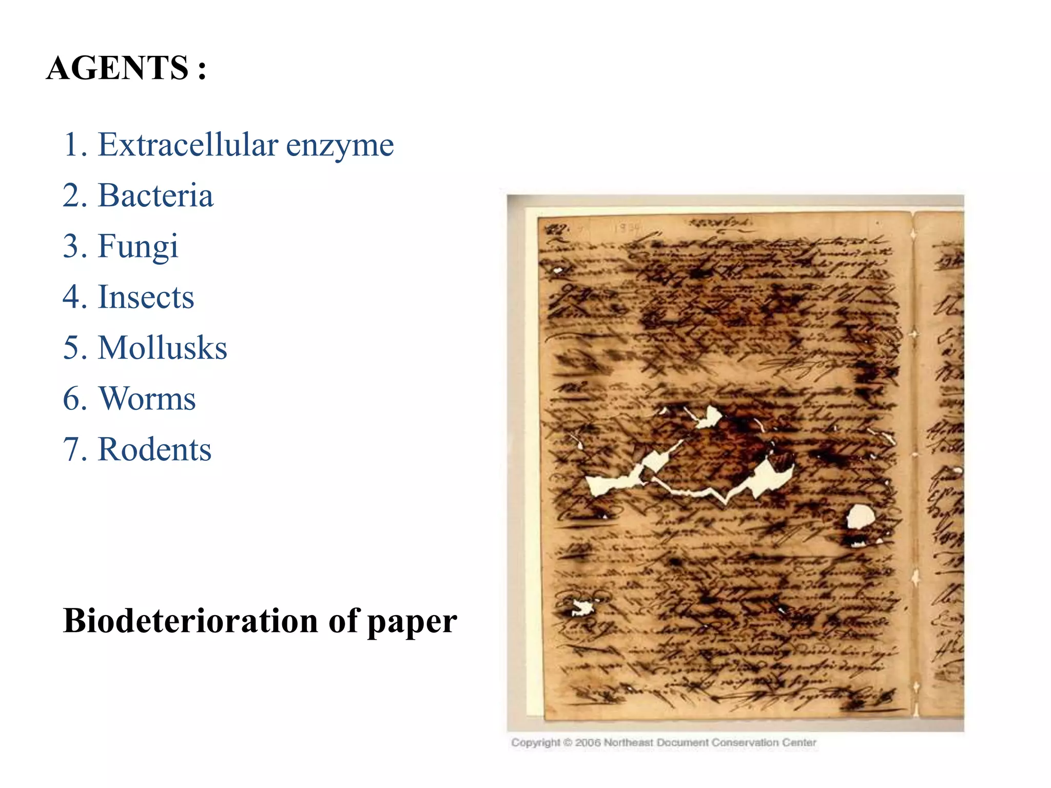 Bio deterioration | PPTX
