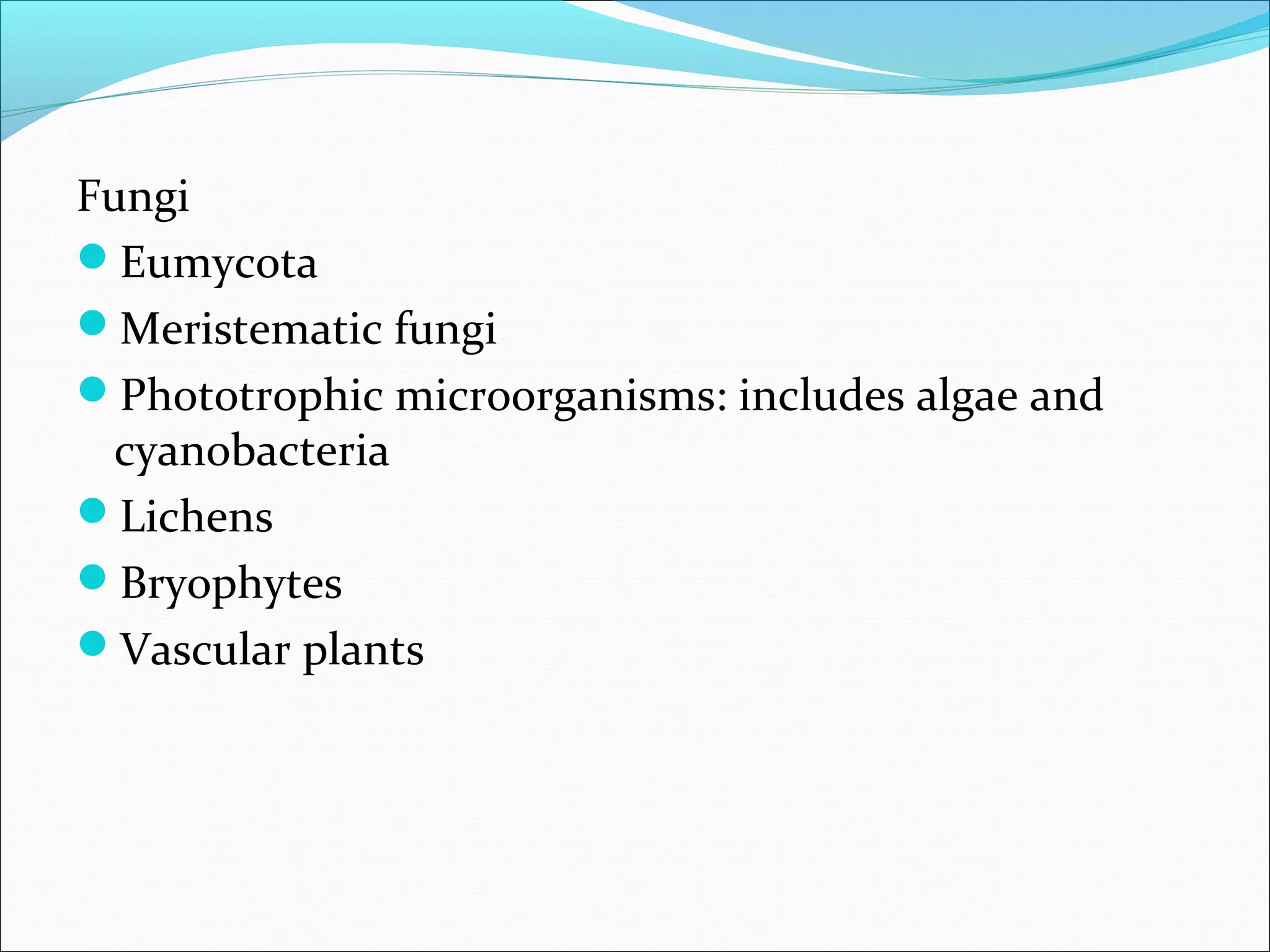 Fungi
Eumycota
Meristematic fungi
Phototrophic microorganisms: includes algae and
cyanobacteria
Lichens
Bryophytes
Vascular plants
 