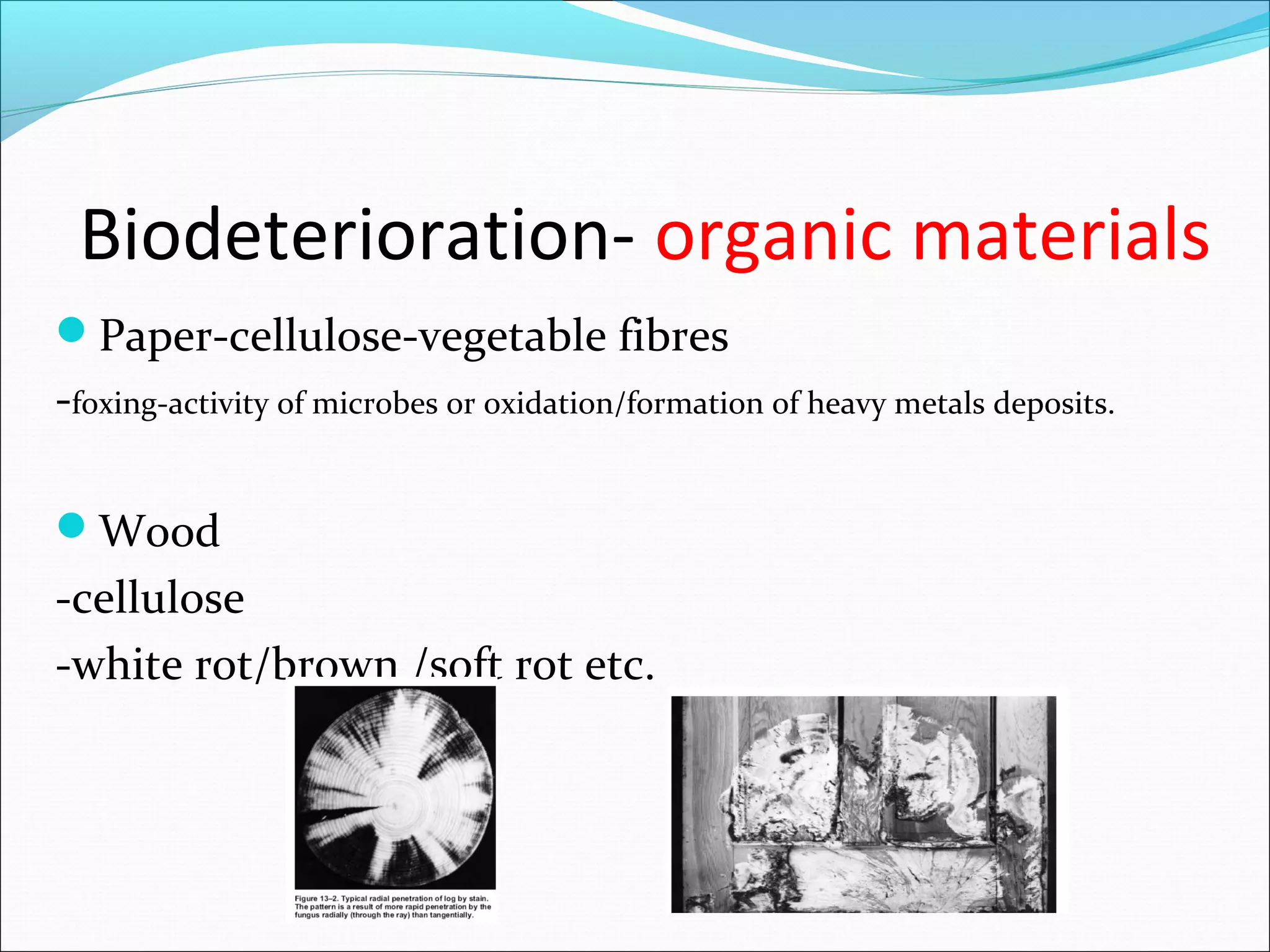 Biodeterioration- organic materials
Paper-cellulose-vegetable fibres
-foxing-activity of microbes or oxidation/formation of heavy metals deposits.
Wood
-cellulose
-white rot/brown /soft rot etc.
 