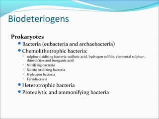 Biodeteriogens
Prokaryotes
Bacteria (eubacteria and archaebacteria)
Chemolithotrophic bacteria:
 sulphur oxidising bacteria :sulfuric acid, hydrogen sulfide, elemental sulphur,
thiosulfates and inorganic acid
 Nitrifying bacteria
 Nitrite oxidizing bacteria
 Hydrogen bacteria
 Ferrobacteria
Heterotrophic bacteria
Proteolytic and ammonifying bacteria
 