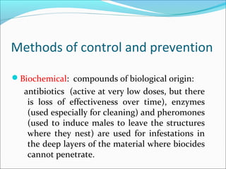 Methods of control and prevention
Biochemical: compounds of biological origin:
antibiotics (active at very low doses, but there
is loss of effectiveness over time), enzymes
(used especially for cleaning) and pheromones
(used to induce males to leave the structures
where they nest) are used for infestations in
the deep layers of the material where biocides
cannot penetrate.
 