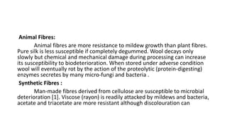 Animal Fibres:
Animal fibres are more resistance to mildew growth than plant fibres.
Pure silk is less susceptible if completely degummed. Wool decays only
slowly but chemical and mechanical damage during processing can increase
its susceptibility to biodeterioration. When stored under adverse condition
wool will eventually rot by the action of the proteolytic (protein-digesting)
enzymes secretes by many micro-fungi and bacteria .
Synthetic Fibres :
Man-made fibres derived from cellulose are susceptible to microbial
deterioration [1]. Viscose (rayon) is readily attacked by mildews and bacteria,
acetate and triacetate are more resistant although discolouration can
 