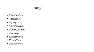 fungi
• Chaetomium
• Fusarium,
• Aspergillus,
• Myrothecium,
• Cladosporium,
• Alternaria,
• Stachybotrys,
• Penicillium
• Trichoderma
 