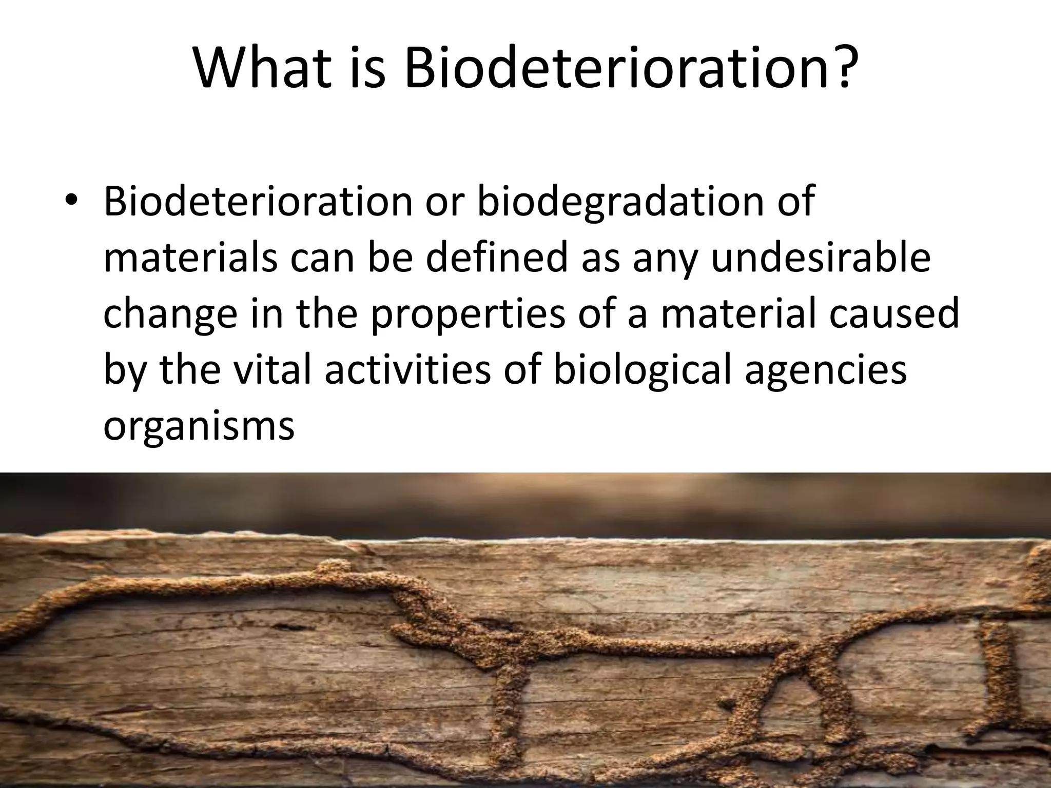 Biodeterioration of wood | PPTX