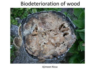 Biodeterioration of wood
Ajimoon Nissa
 