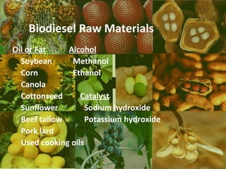 Biodiesel Raw Materials
Oil or Fat    Alcohol
  Soybean      Methanol
  Corn         Ethanol
  Canola
  Cottonseed      Catalyst
  Sunflower         Sodium hydroxide
  Beef tallow       Potassium hydroxide
  Pork lard
  Used cooking oils
 