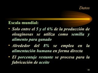 Datos Escala mundial: Solo entre el  5 y el 6%  de la producción de oleaginosas se utiliza como  semilla y alimento para ganado Alrededor del  8%  se emplea en la  alimentación humana  en forma directa El  porcentaje restante  se procesa para la fabricación de  aceite 
