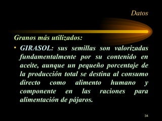 Datos Granos más utilizados: GIRASOL : sus semillas son valorizadas fundamentalmente por su contenido en aceite, aunque un pequeño porcentaje de la producción total se destina al consumo directo como alimento humano y componente en las raciones para alimentación de pájaros. 