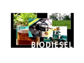 Biodiesel